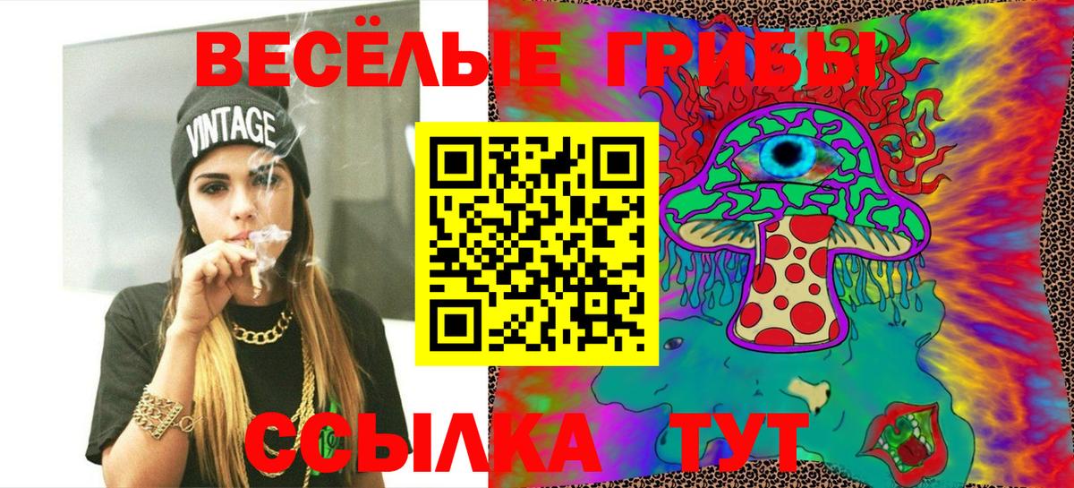 Псилоцибиновые грибы мухоморы  Вход с VPN  где купить наркотик  Выкса 